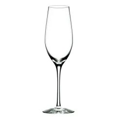 CHAMPAGNE 29CL<ORREFORS KOSTA BODA Discount