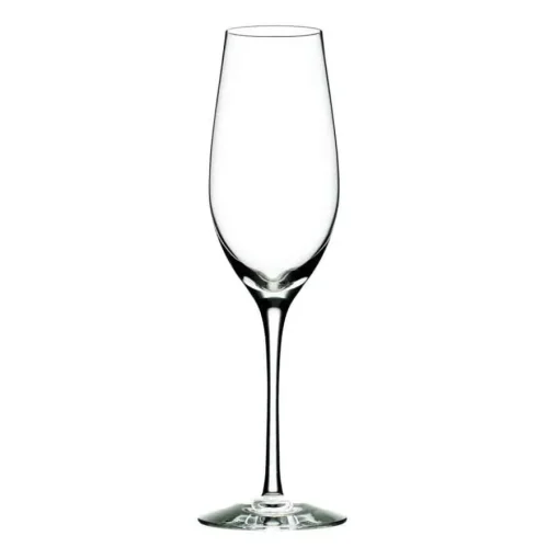 CHAMPAGNE 29CL<ORREFORS KOSTA BODA Discount