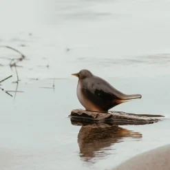 Dyrefigurer Fossekall 11 cm<HADELAND GLASSVERK Clearance