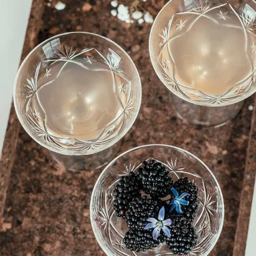 Finn Champagneskål 18cl<HADELAND GLASSVERK Sale