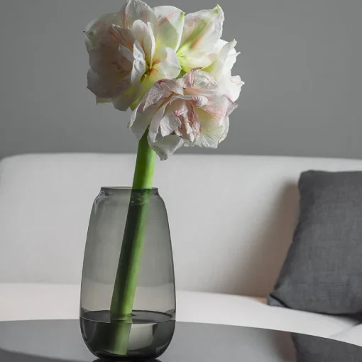 Siccori Vase 26cm Røkgrå<HADELAND GLASSVERK